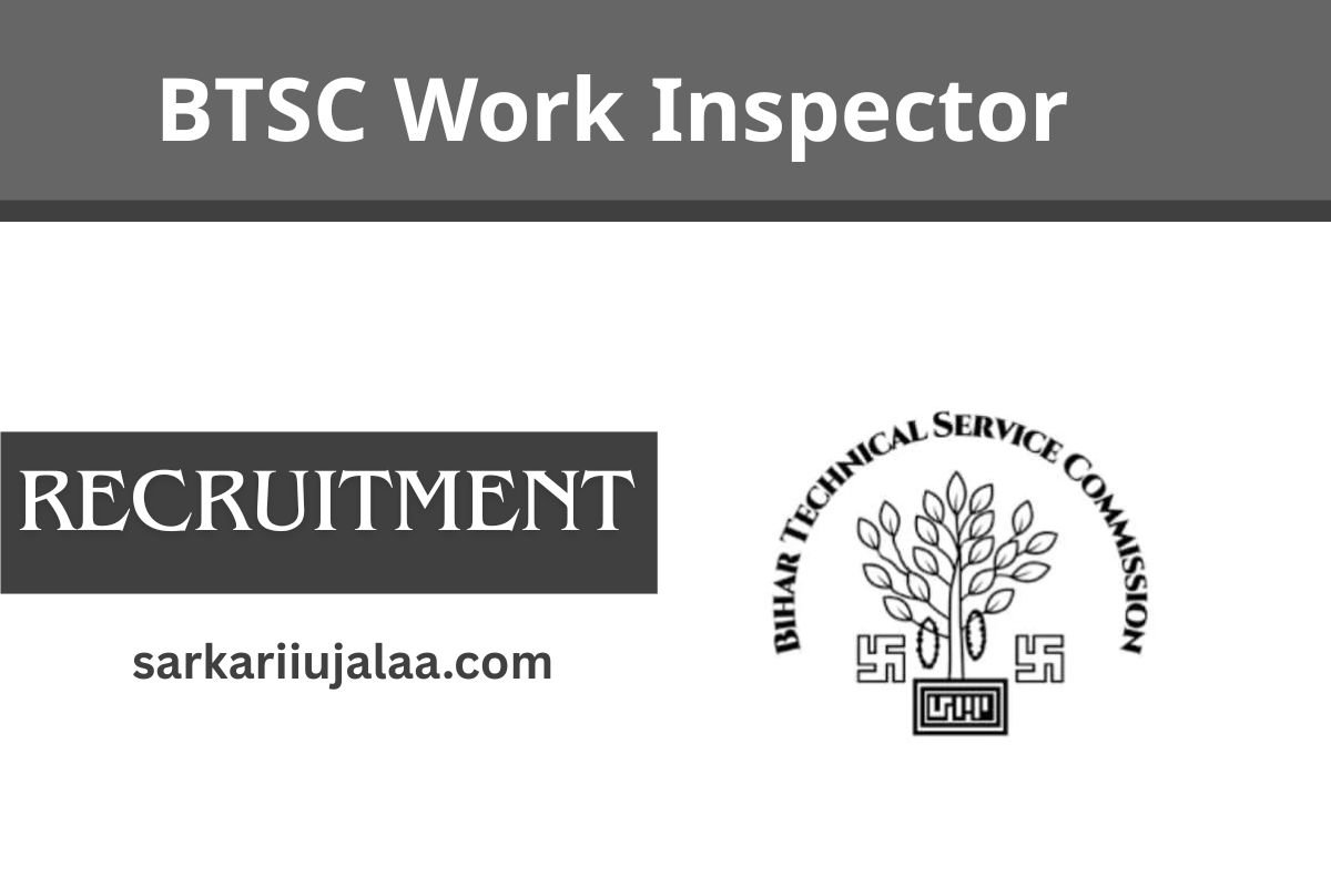 BTSC Work Inspector